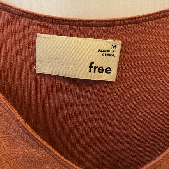 Aritzia Vivienne Dress (in Canyon Rose) - Picture 4 of 4